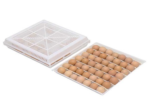 تصویر 2 از شانه تخم مرغ دستگاه جوجه کشی دقیق ایمن عملکرد بالا